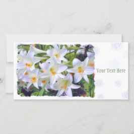 Påsk lily [Flat Guide Card] 案 内 状 Meddelande