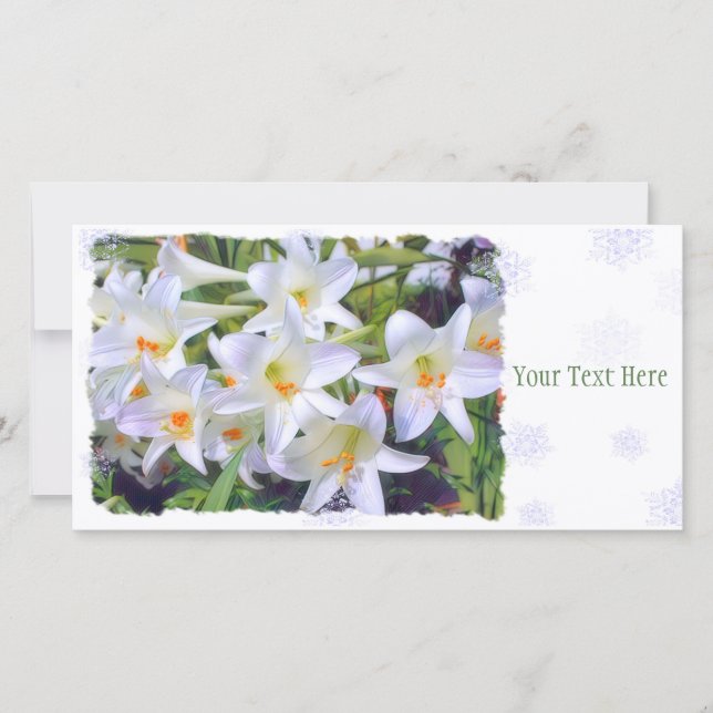 Påsk lily [Flat Guide Card] 案 内 状 Meddelande (Framsida)