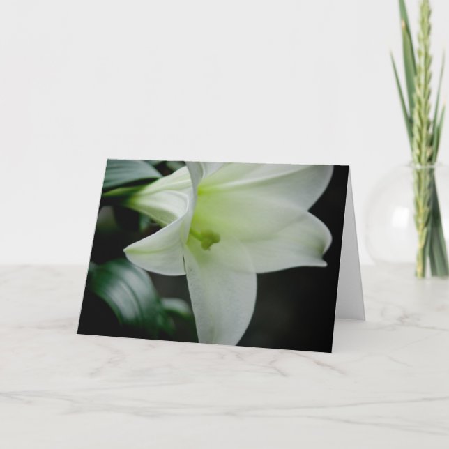 Påsk Lily ・ Greeting Card Helgkort (Framsida)