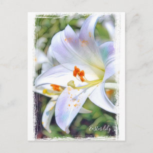 Påsk lily [vykort] ポ ス ト カ ー vykort