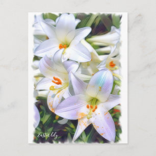 Påsk lily [vykort] ポ ス ト カ ー vykort