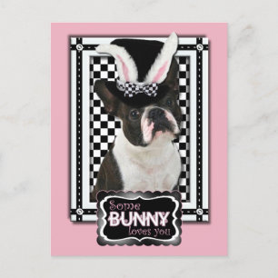 Påsk - Lite Bunny Kärlek You - Boston Terrier Helg Vykort