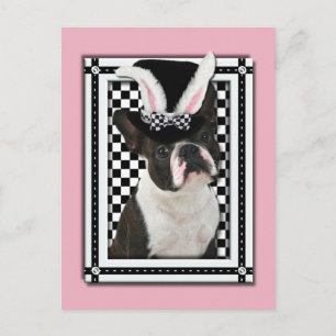 Påsk - Lite Bunny Kärlek You - Boston Terrier Helg Vykort