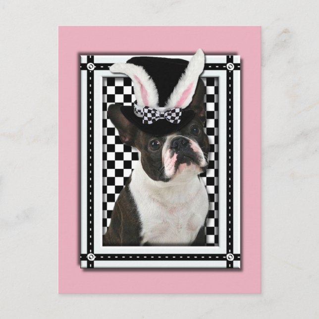 Påsk - Lite Bunny Kärlek You - Boston Terrier Helg Vykort (Framsida)
