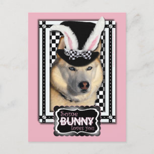 Påsk - Lite Bunny Kärlek You - Husky Helg Vykort