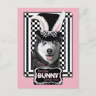 Påsk - Lite Bunny Kärlek You - Husky Helg Vykort