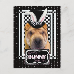 Påsk - Lite Bunny Kärlek You - Shar Pei Helg Vykort