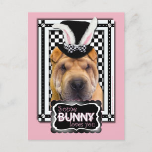 Påsk - Lite Bunny Kärlek You - Shar Pei Helg Vykort