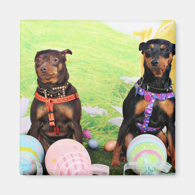 Påsk - Min Pin - Zena och Gidget Magnet (Framsidan)