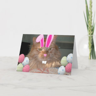 Påsk Orange Tabby Kattunge Helgkort