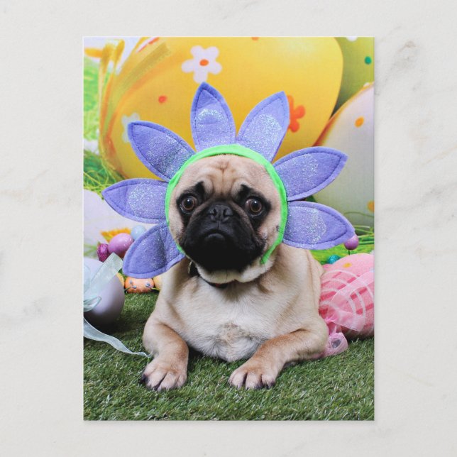 Påsk - Pug - Louie Helg Vykort (Framsida)