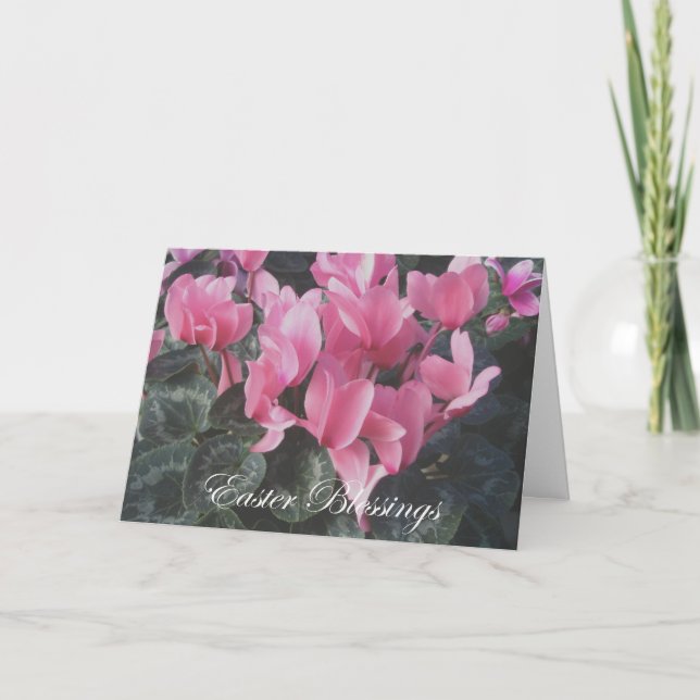 Påsk Rosa Cyclamen Card Helgkort (Framsida)