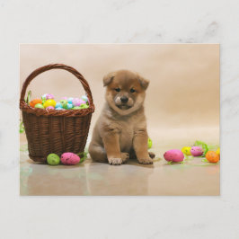 Påsk Shiba Inu Helg Vykort