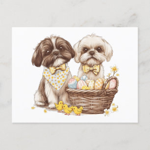 Påsk Shih Tzu Hundar Helg Vykort