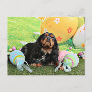 Påsk - stolt Spaniel för kung Charles - Charlie Helg Vykort