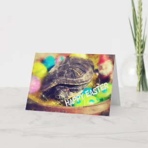 Påsk Turtle Helgkort