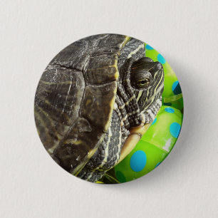 Påsk Turtle Knapp