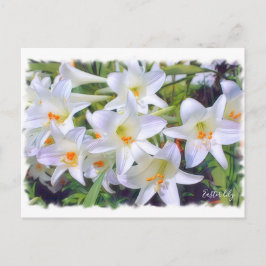 Påsk (vykort) ポ ス ト カ ー vykort