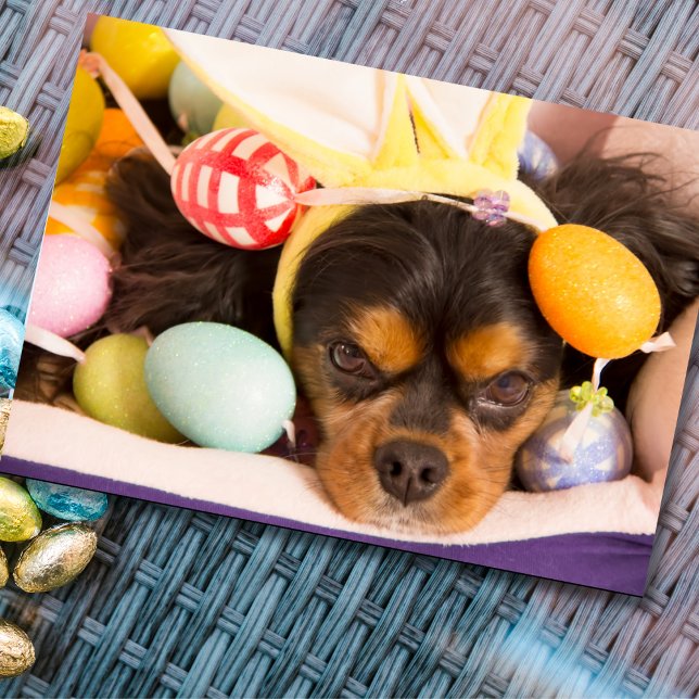 Påskägg Cavalier King Charles Spaniel-kort Helgkort (Skapare uppladdad)