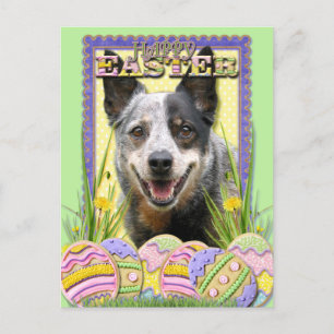 Påskägg Cookies - Australian Cattle Hund Helg Vykort