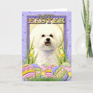 Påskägg Cookies - Bichon Frise Helgkort
