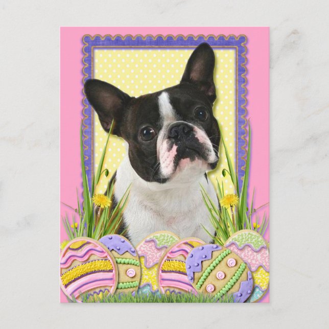Påskägg Cookies - Boston Terrier Helg Vykort (Framsida)
