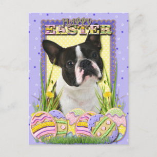 Påskägg Cookies - Boston Terrier Helg Vykort