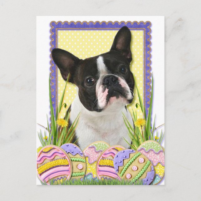 Påskägg Cookies - Boston Terrier Helg Vykort (Framsida)