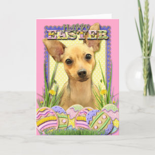 Påskägg Cookies - Chihuahua - Daisy Helgkort