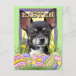 Påskägg Cookies - Chihuahua Helg Vykort