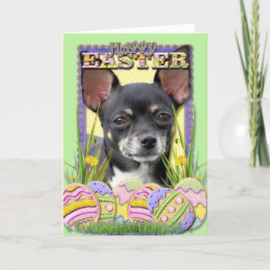 Påskägg Cookies - Chihuahua Helgkort