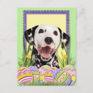 Påskägg Cookies - Dalmatien Helg Vykort