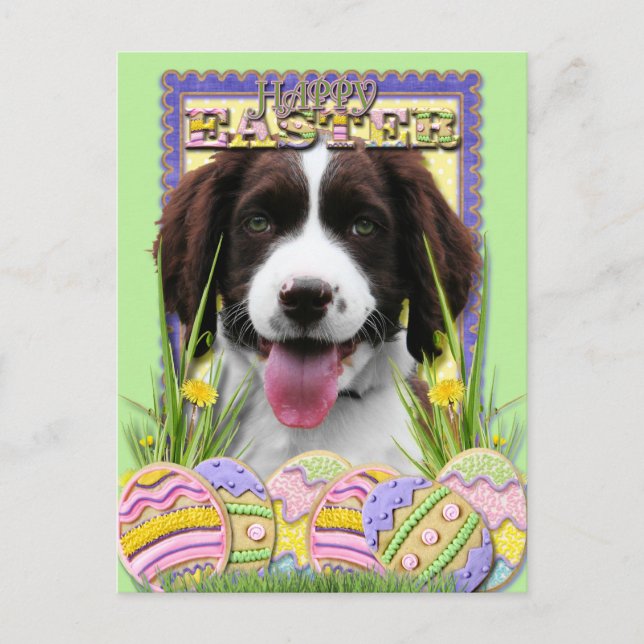 Påskägg Cookies - English Springer Spain Helg Vykort (Framsida)