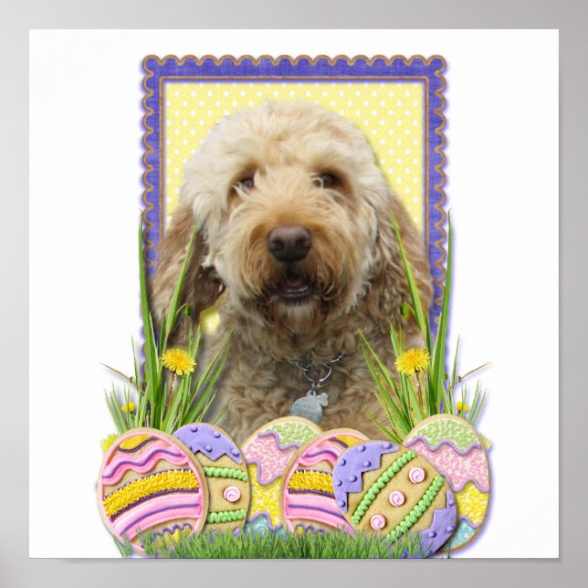 Påskägg Cookies - GoldenDoodle Poster (Framsidan)