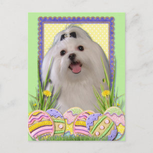 Påskägg Cookies - maltesiska Helg Vykort