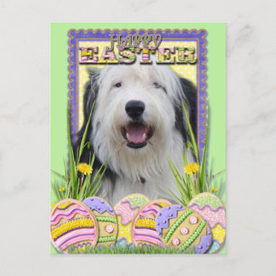Påskägg Cookies - Old English Sheepdog Helg Vykort