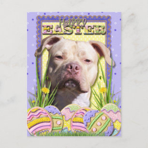 Påskägg Cookies - Pitbull - JerseyGirl Helg Vykort