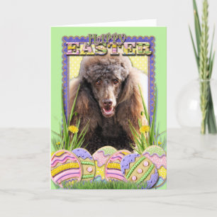 Påskägg Cookies - Pudel - Chocolate Helgkort