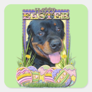 Påskägg Cookies - Rottweiler - Harley Fyrkantigt Klistermärke