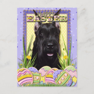 Påskägg Cookies - Schnauzer Helg Vykort