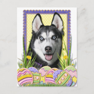Påskägg Cookies - Siberian husky Helg Vykort