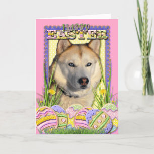 Påskägg Cookies - Siberian husky koppar Helgkort
