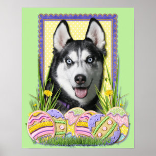 Påskägg Cookies - Siberian husky Poster