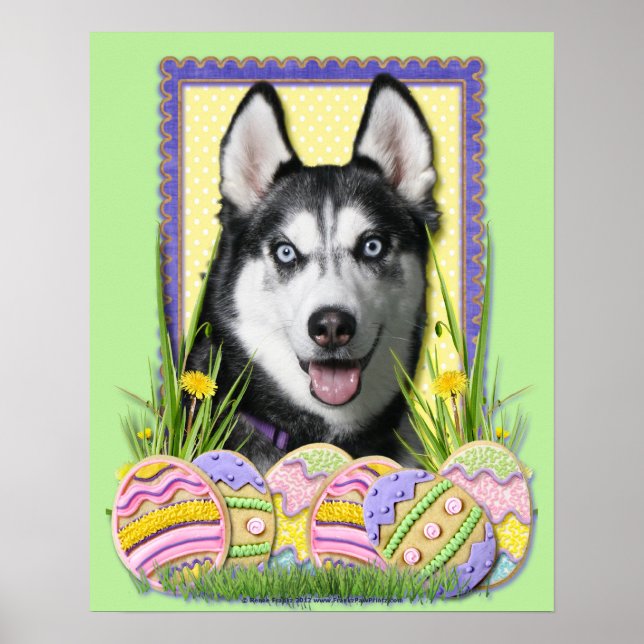 Påskägg Cookies - Siberian husky Poster (Framsidan)