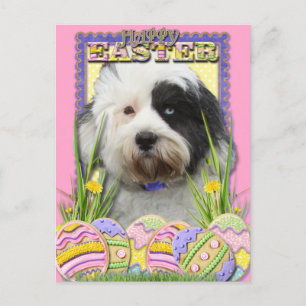 Påskägg Cookies - tibetansk terrier Helg Vykort