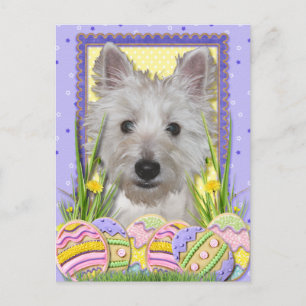 Påskägg Cookies - Väster Highland Terrier - Tank Helg Vykort