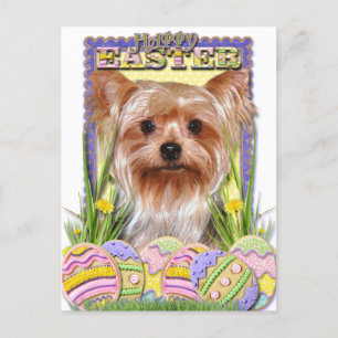 Påskägg Cookies - Yorkshire Terrier Helg Vykort