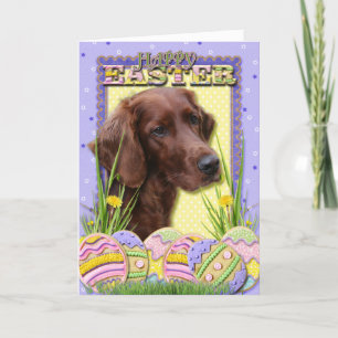 Påskäggkakor - irländsk Setter Helgkort