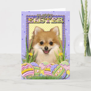 Påskäggkakor - Pomeranian Helgkort