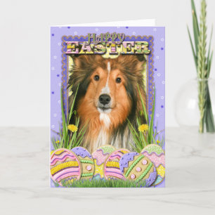 Påskäggkakor - Sheltie Helgkort